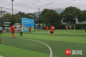 世界杯冠军争夺战新变量地理环境影响分析